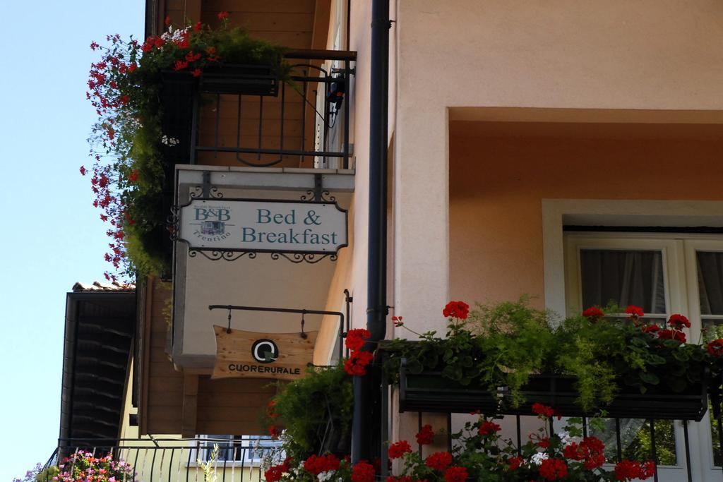B&B Casa Riz Castello-Molina di Fiemme Exterior foto